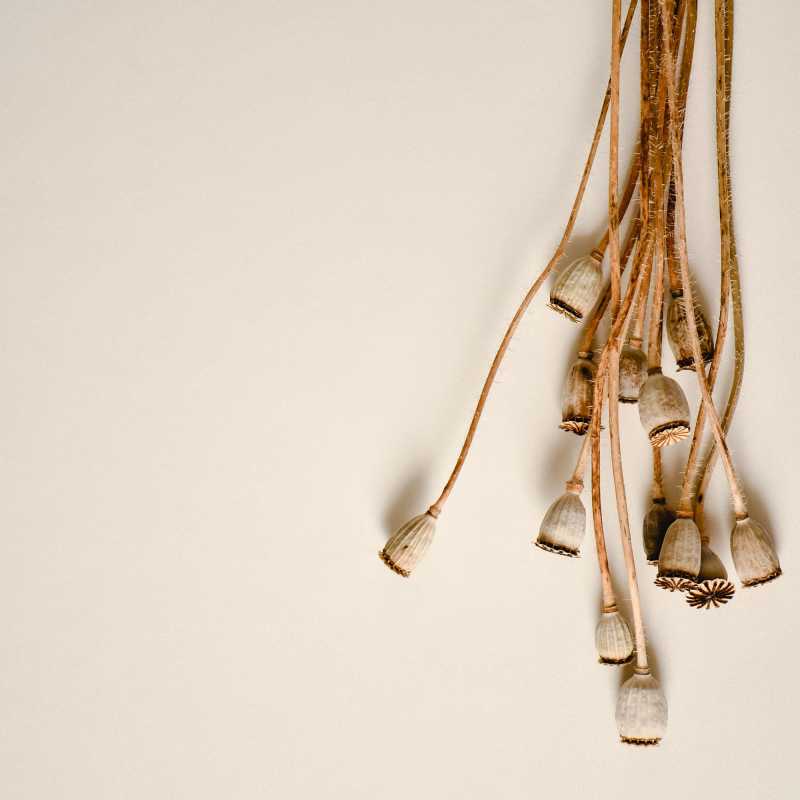 13 Ways to Find Community in&nbsp;London